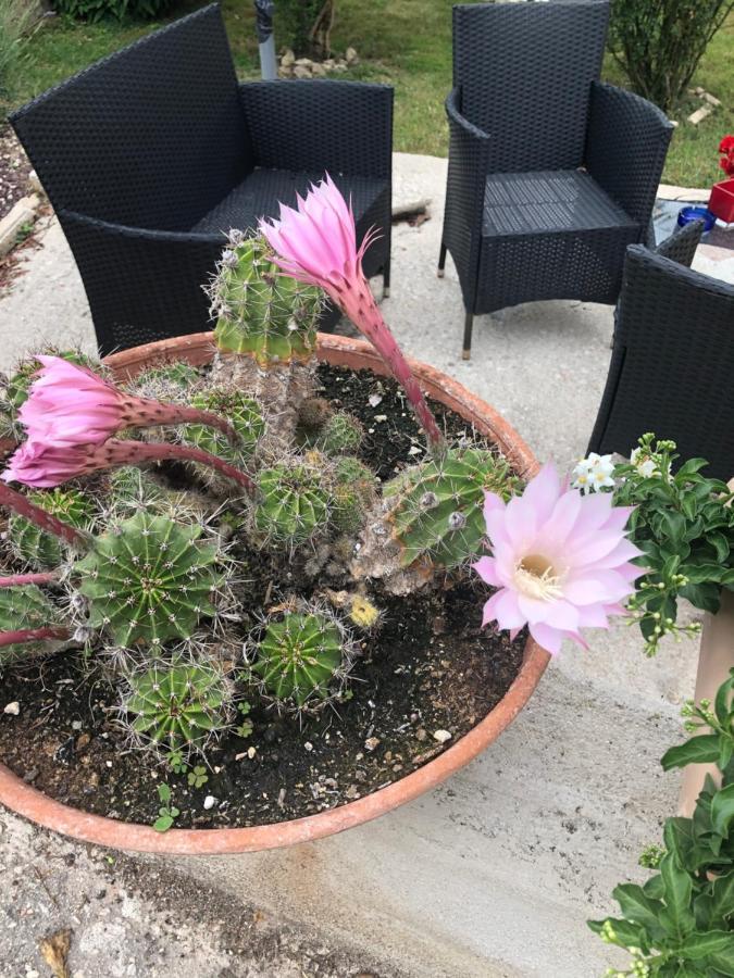 Il Girasole Apartment Castel Ritaldi Luaran gambar